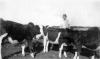 Ellen Lydia giver kalvene på Stensholm mælk